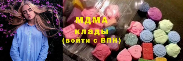шишки Абаза