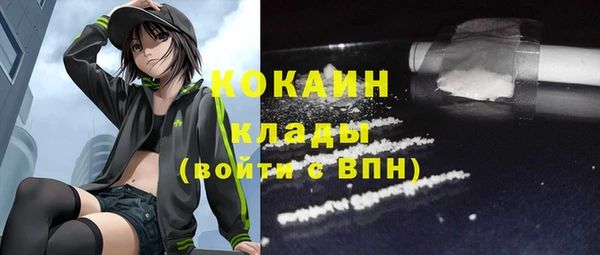 шишки Абаза