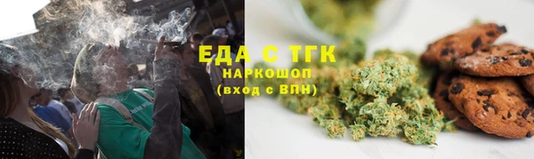 шишки Абаза