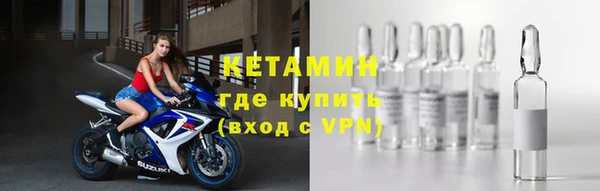 шишки Абаза