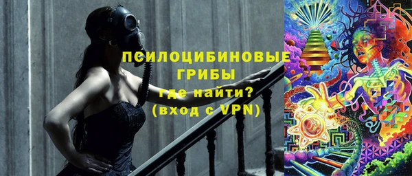 шишки Абаза