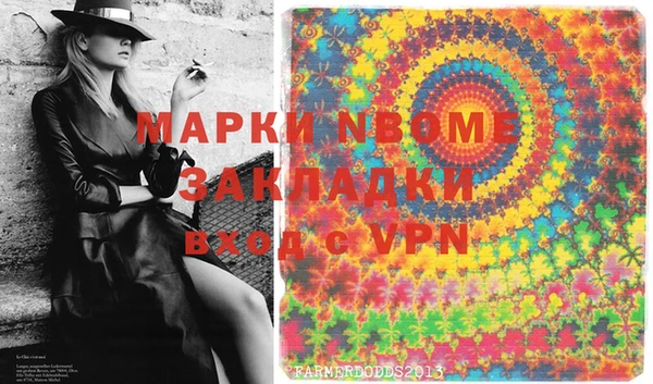 шишки Абаза