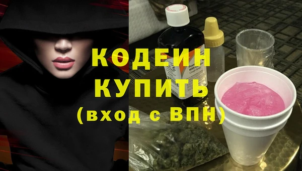 шишки Абаза