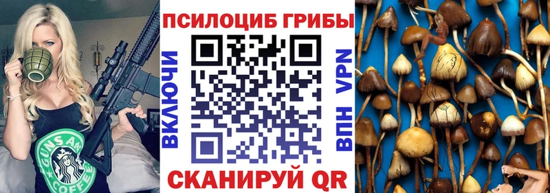 наркошоп  Оренбург  Галлюциногенные грибы мицелий 
